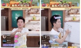 金诚茶庄爆料视频播放,揭秘视频播放背后的惊人真相