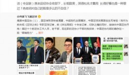 足协刘洁爆料视频大全,揭秘足球圈幕后真相