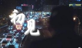 黑石采访爆料视频大全,揭秘行业巨头背后的故事与策略