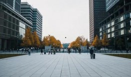 东安大头爆料最新消息,揭秘娱乐圈惊人内幕