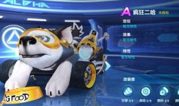 飞车手游最新宠物爆料