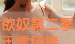 欲奴全集在线观看,一场禁忌欲望的极致演绎