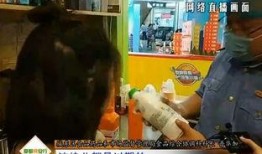 后厨爆料现场视频大全集,现场视频大全集深度解析