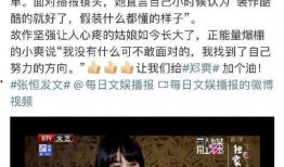 天涯爆料聂磊的贵人视频,视频曝光背后的权谋风云