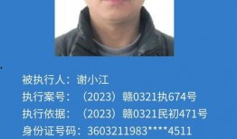 莲花县今日爆料电话,揭秘热线电话背后的故事