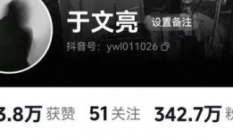 金诚茶庄爆料视频播放,揭秘视频播放背后的惊人真相