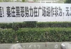 奥林匹克广场爆料视频,揭秘现场精彩瞬间