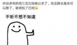 卓伟爆料破案视频,独家爆料破案视频背后的真相