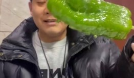 台湾健身网红吃瓜图片,身材与美食的完美平衡