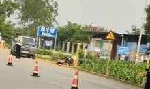 武鸣里建爆料新闻,揭秘背后惊人真相