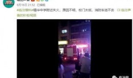 黑石采访爆料视频大全,揭秘行业巨头背后的故事与策略