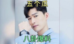 明星吃瓜小说完结免费阅读,明星吃瓜手册，揭秘幕后真相，完结免费畅读