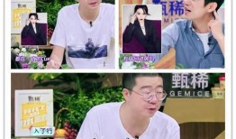 李诞家保姆爆料视频,揭秘明星家庭背后的真实生活