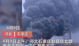 泉州媒体爆料事件视频,真相与争议并存