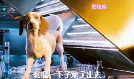 超狗任务国语在线观看,国语版在线观影指南