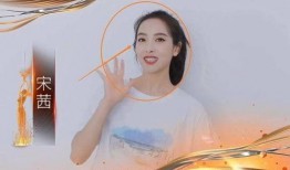 金鹰女生爆料视频,揭秘幕后故事与幕后英雄
