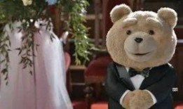 泰迪电影爆料视频大全,揭秘娱乐圈幕后真相