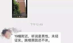 网友爆料坠楼事件视频播放,惊心动魄的坠楼事件视频引发网友热议