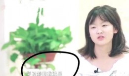 娱乐圈爆料哪几个靠谱,揭秘哪些爆料靠谱，真相大起底！