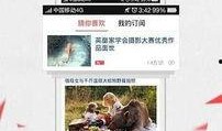 凤凰新闻爆料电话号码,揭秘新闻背后的真相