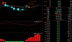 诺普信股票最新爆料消息,业绩飙升，行业前景一片光明！