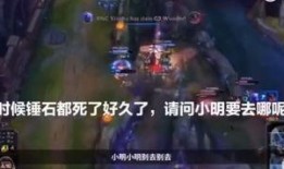 黑龙爆料假拳视频大全集,假拳视频大全集深度剖析