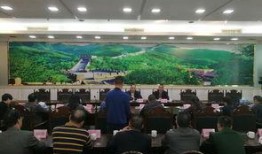 遂溪县新闻爆料网站,聚焦民生，传递一线声音