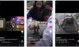 都市真实爆料视频下载,真实爆料视频背后的惊人真相