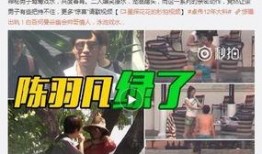 天涯爆料聂磊的贵人视频,视频曝光背后的权谋风云