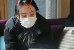 郑爽妈妈爆料视频,揭秘明星家庭背后的真相