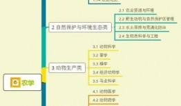 叉子爆料缅甸视频大全集,叉子爆料视频大全集深度解析