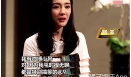 明星吃瓜小说完结免费阅读,明星吃瓜手册，揭秘幕后真相，完结免费畅读