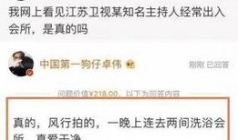 卓伟爆料破案视频,独家爆料破案视频背后的真相