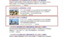 抖音武汉爆料视频,揭秘城市生活新视角
