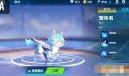 飞车手游最新宠物爆料