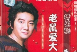 娱乐圈爆料歌曲有哪些歌,揭秘明星私生活背后的旋律