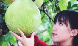黑料吃瓜爆料网红一区,黑料吃瓜背后的真相与内幕