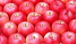 娱乐吃瓜酱苹果下载安装,苹果设备轻松下载安装指南