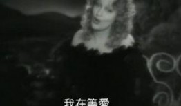 风流寡妇在线观看,激情燃烧的复仇之旅