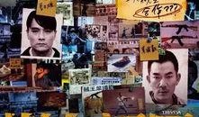 在线观看树大招风,揭秘网络时代下的隐私危机与安全挑战