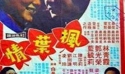 枫叶情在线观看,穿越时空的浪漫邂逅