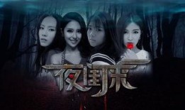 夜看视频在线观看,夜看视频带你领略精彩瞬间