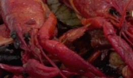 爆料小龙虾做法视频教学,跟随视频学做美味佳肴