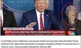 特朗普新片爆料视频,权力背后不为人知的真相