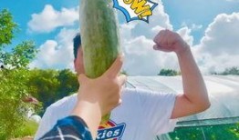 一起吃瓜网红,揭秘娱乐圈背后的秘密与真相