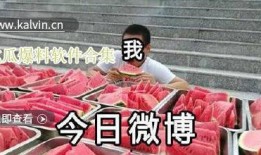 爆料视频合集,热点事件背后的真相与争议