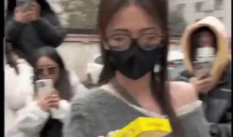 淄博吃瓜爆料事件视频播放,视频揭秘事件背后真相