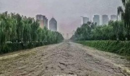 太原柏油最新爆料,揭秘工程进展与市民反响