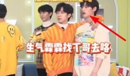 队员爆料严浩翔视频播放,揭秘幕后精彩瞬间