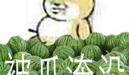 黑料吃瓜爆料网红一区,黑料吃瓜背后的真相与内幕
